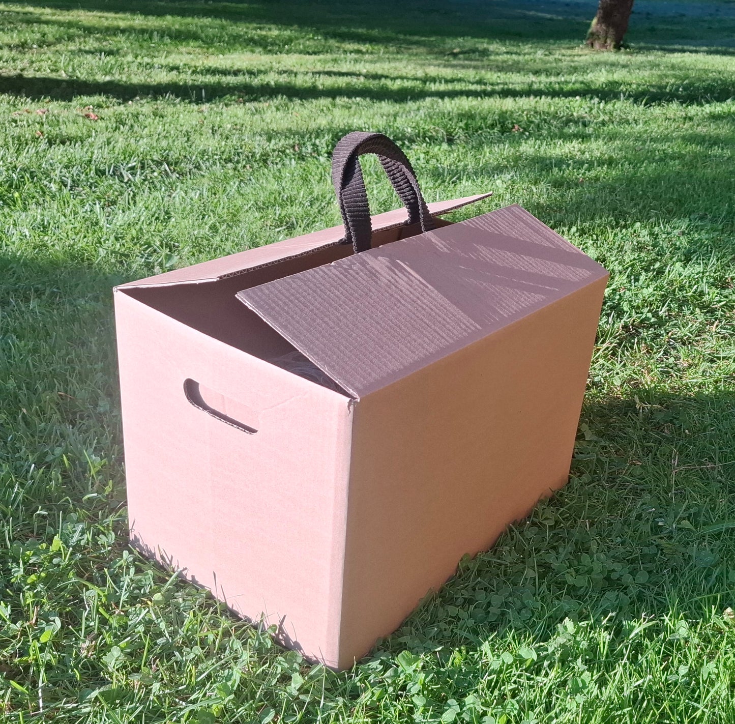 Dėžė su velveto rankenomis